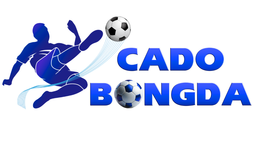 cá cược bóng đá