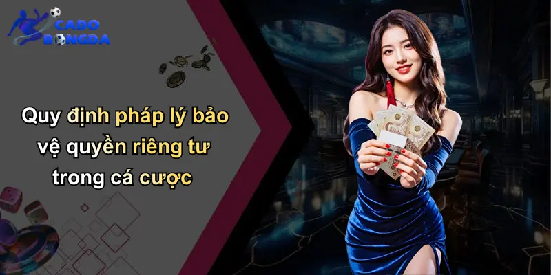 Quyền Riêng Tư Trong Cá Cược Bóng Đá: Nhận Diện Tầm Quan Trọng 1 Quy định pháp lý bảo vệ quyền riêng tư trong cá cược