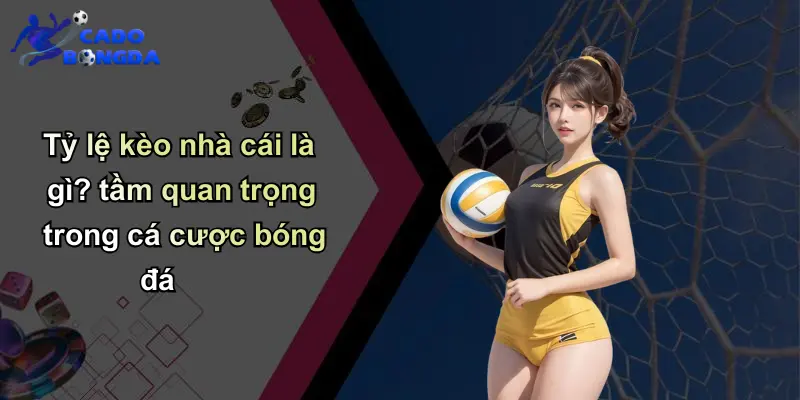 Tỷ lệ kèo nhà cái là gì? tầm quan trọng trong cá cược bóng đá