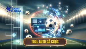 Tool auto cá cược