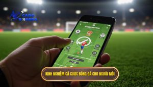 kinh nghiệm cá cược bóng đá cho người mới