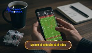 mẹo chơi cá cược bóng đá dễ thắng