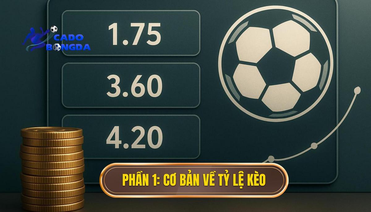 Phần 1_ Khái Niệm Cơ Bản Về Tỷ Lệ Kèo Bóng Đá