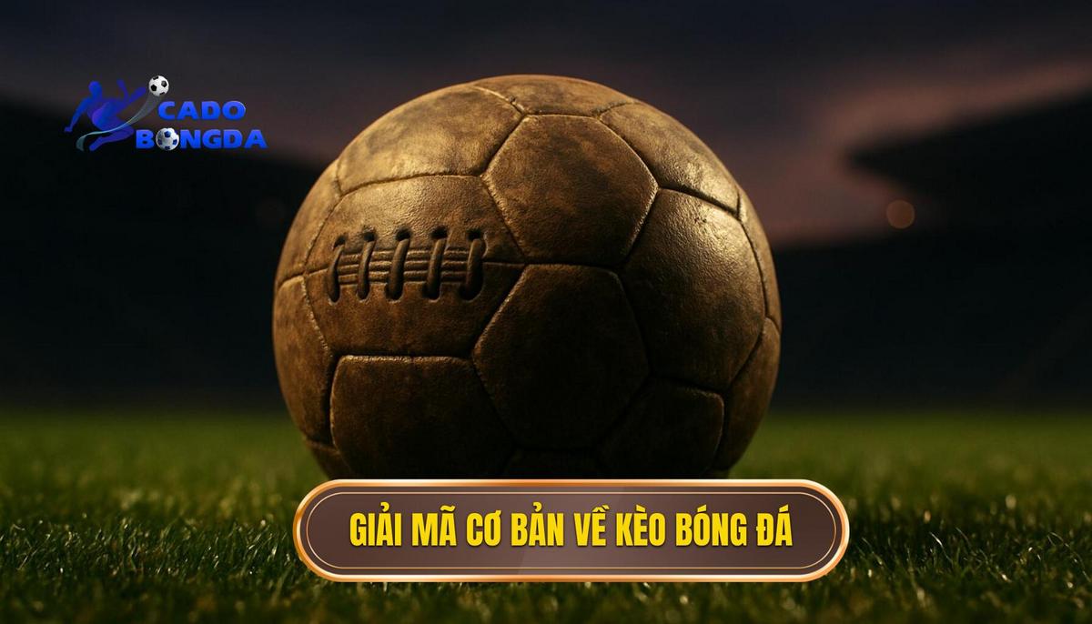 Giải Mã Cơ Bản Về Kèo Tài Xỉu Bóng Đá