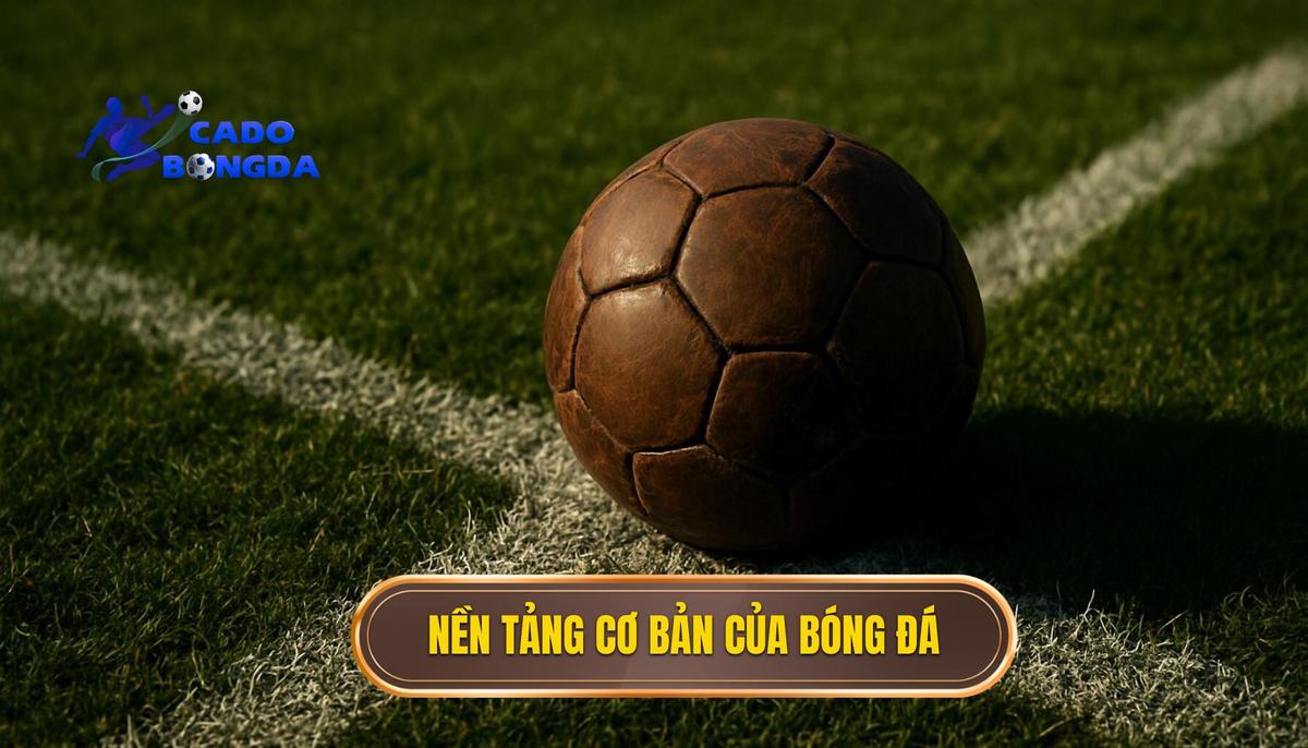 Nền Tảng Cơ Bản Của Bóng Đá Ảo