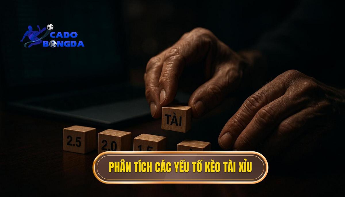 Phân Tích Chuyên Sâu Các Yếu Tố Ảnh Hưởng Đến Kèo Tài Xỉu
