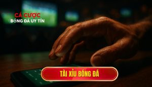 thumb - Tài xỉu bóng đá