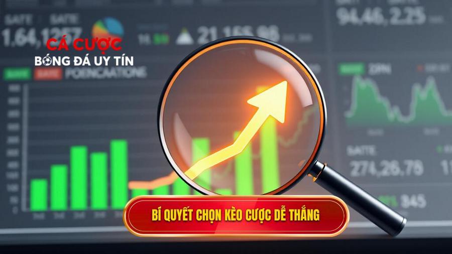 Phân tích thị trường cá cược: Tại sao phải chọn kèo "dễ ăn"?