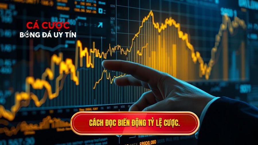 Phân tích biến động tỷ lệ cược đêm nay: Nghệ thuật đọc vị nhà cái