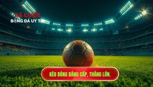 Kèo bóng đẳng cấp, thắng lớn